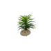Planta Decorativa Aquário 10 cm - Verde